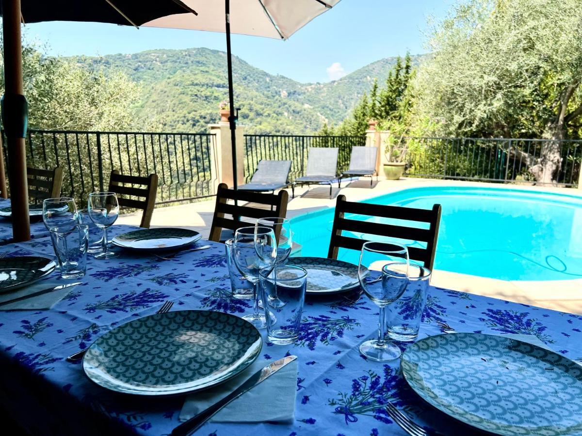 Entre Nice Et Monaco Grande Villa Avec Piscine Privee 12 Personnes Drap Kültér fotó