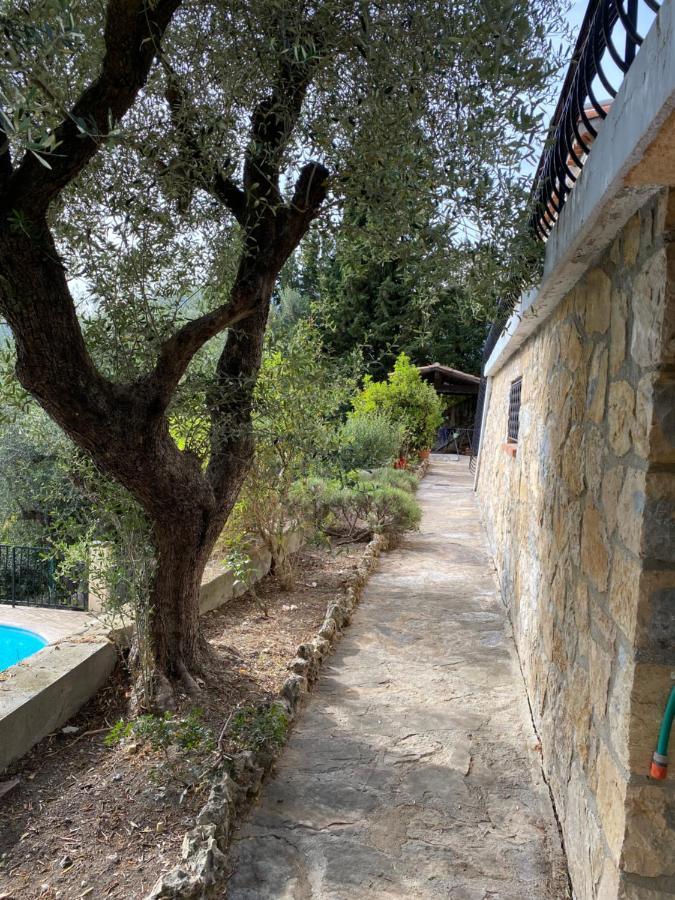 Entre Nice Et Monaco Grande Villa Avec Piscine Privee 12 Personnes Drap Kültér fotó