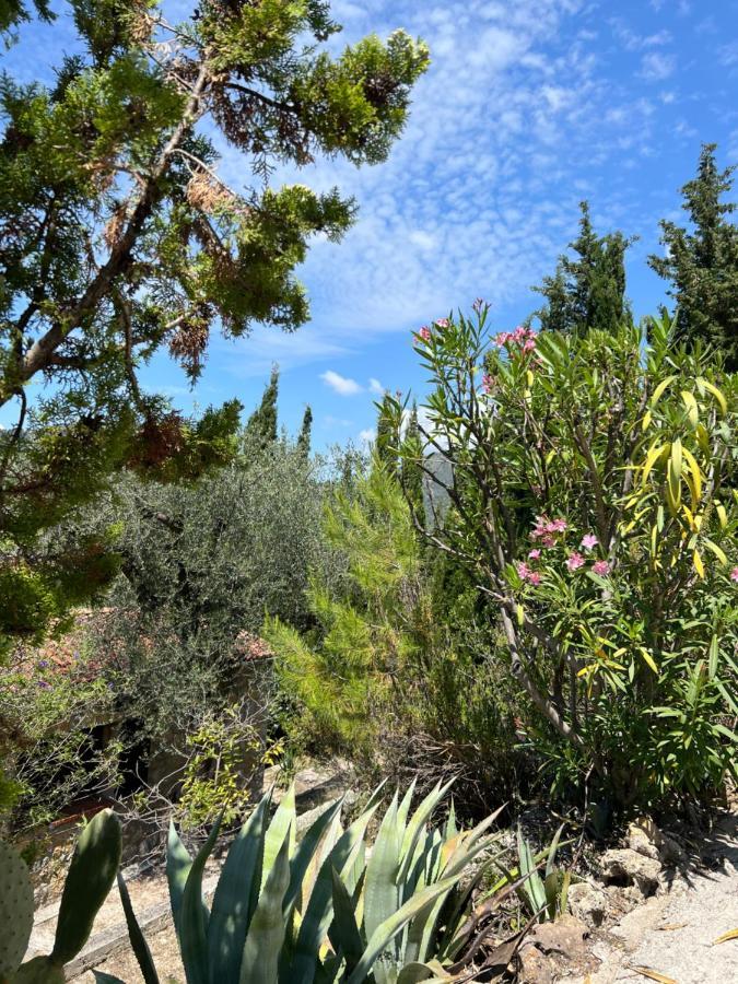 Entre Nice Et Monaco Grande Villa Avec Piscine Privee 12 Personnes Drap Kültér fotó