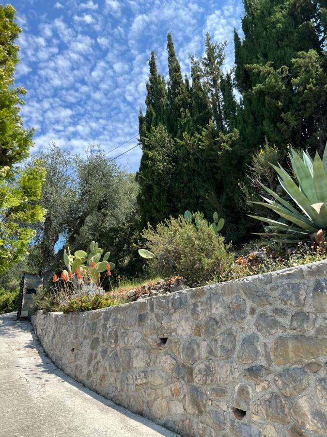Entre Nice Et Monaco Grande Villa Avec Piscine Privee 12 Personnes Drap Kültér fotó